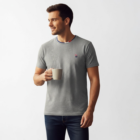 Hombre vistiendo camiseta gris de algodon www.treshop.com.co con logo de goma y cuello tricolor, estilo casual